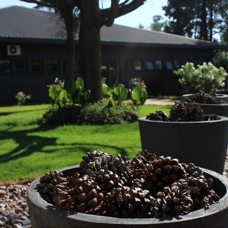 Hotel Vista Ort Kempton Park Exterior foto